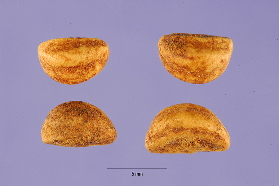 crpr2_002_lhp